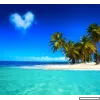 Mi amor