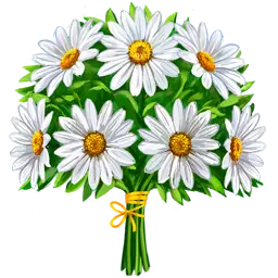 gift chamomile
